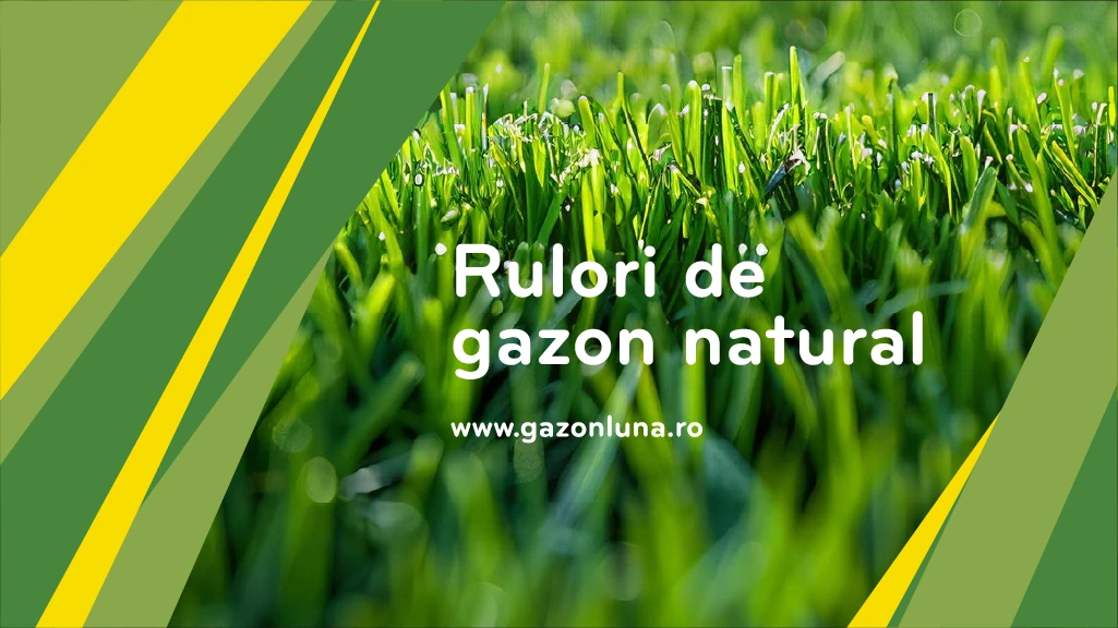 Identitate vizuală Gazon Luna